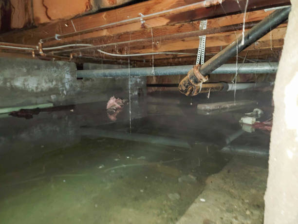 Reliable MN Water damage restoration Solutions