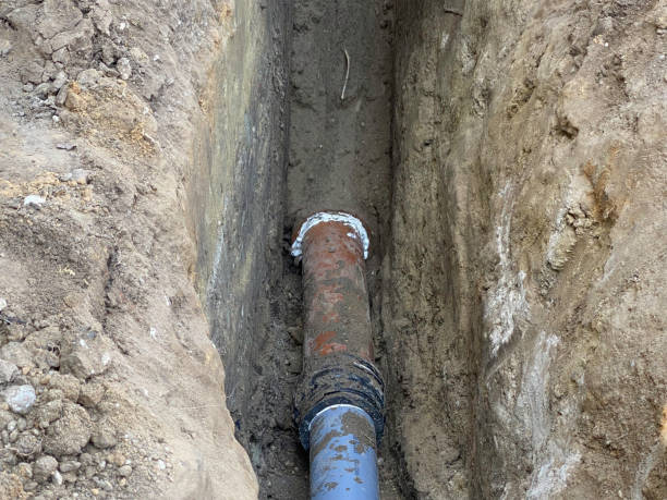 Best Basement water damage restoration  in Wells, MN