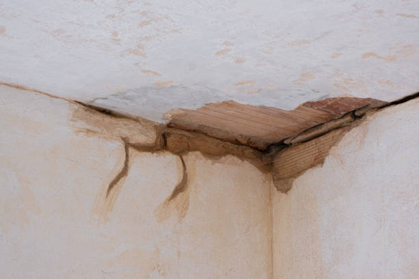 Best Water damage restoration cost  in Wells, MN