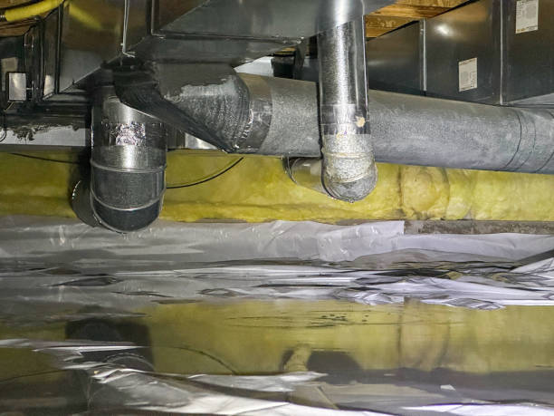 Best Water damage cleanup near me  in Wells, MN