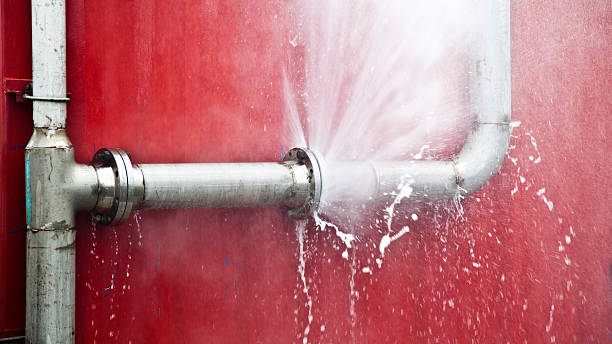 Best Flooded house restoration  in Wells, MN
